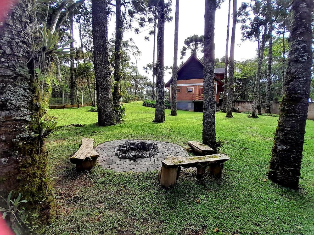 Bosque Das Araucarias Campos do Jordao Luaran gambar